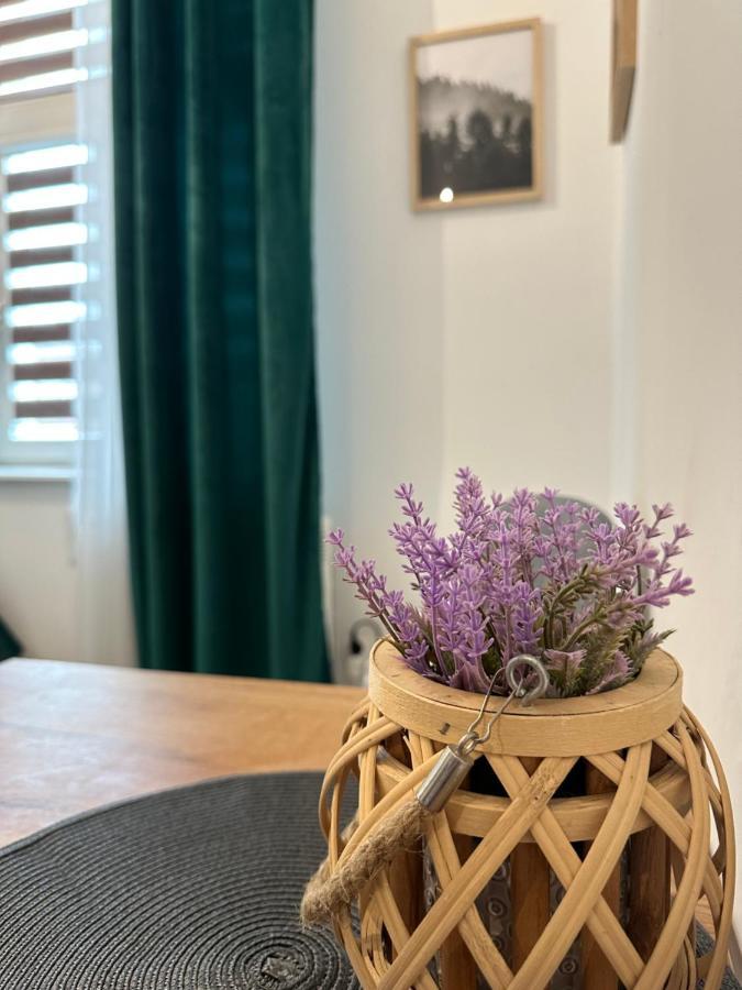 Apartament Zielony Kollataja Томашув-Мазовєцкі Екстер'єр фото
